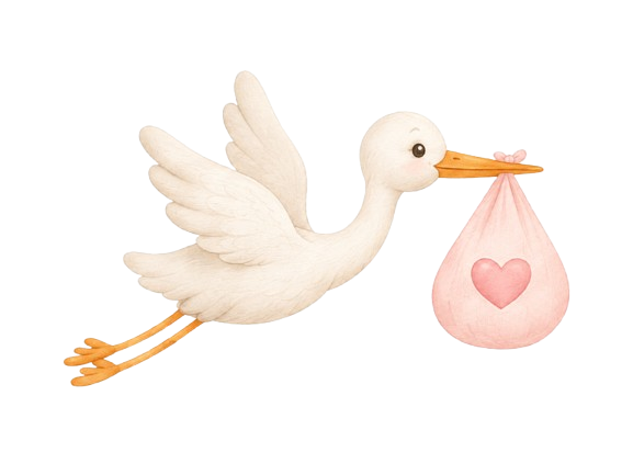 Cigogne apportant bébé